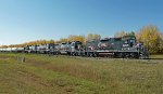 CCGX 4213